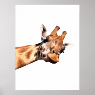 Póster Retrato de jirafa animal africano