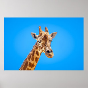 Póster Retrato de jirafa contra el cielo