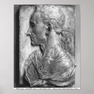 Póster Retrato de Julio César