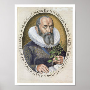 Póster Retrato de la albahaca Besler (1561-1629) en 1612,