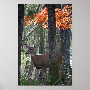 Póster "Retrato de la paz "