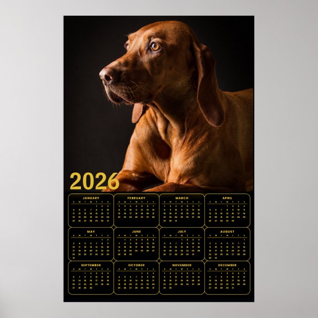 Póster Retrato de Labrador Retriever con calendario 2026 (Frente)