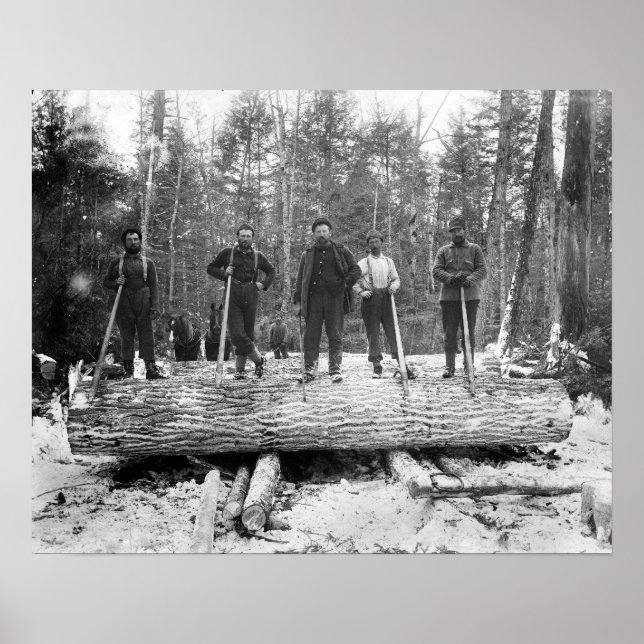 Póster Retrato de Leñadores, 1890. Foto Antigua (Frente)