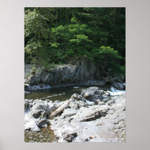 Póster Retrato de Lucia Falls