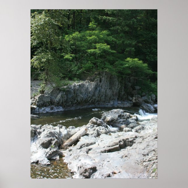 Póster Retrato de Lucia Falls (Frente)