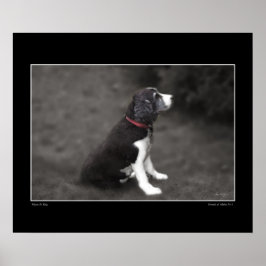 Póster Retrato de Mabel no 3 Poster