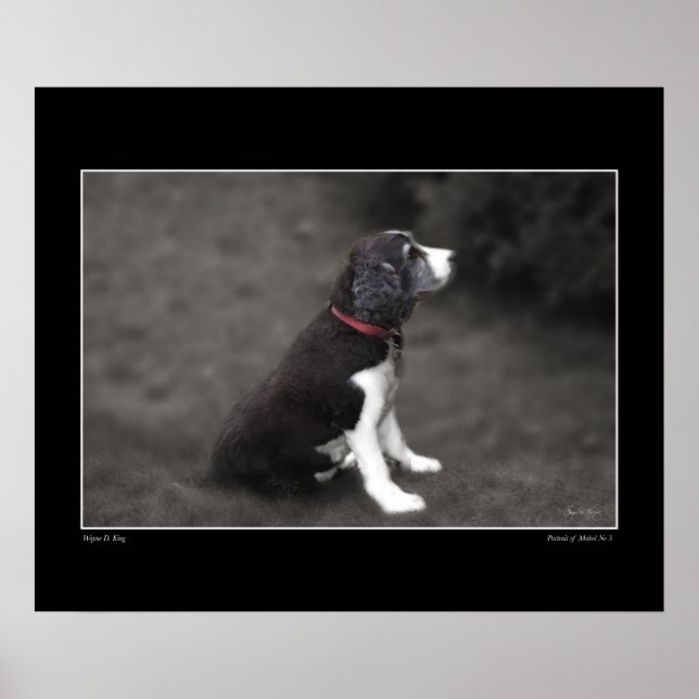 Póster Retrato de Mabel no 3 Poster (Frente)