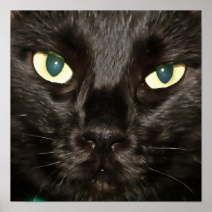 Póster Retrato de Mascota artístico con gatito negro