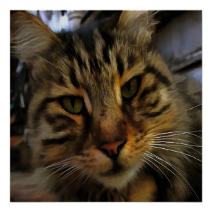 Póster Retrato de Mascota artístico de gato tabby de larg