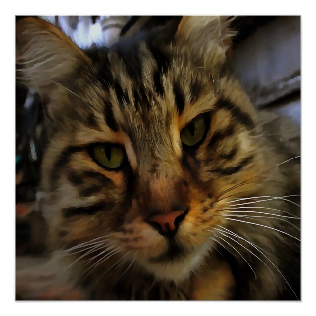 Póster Retrato de Mascota artístico de gato tabby de larg (Anverso)
