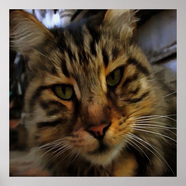 Póster Retrato de Mascota artístico de gato tabby de larg (Frente)