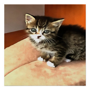 Póster Retrato de Mascota de gatitos de Tabby