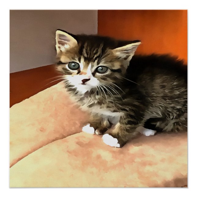 Póster Retrato de Mascota de gatitos de Tabby (Anverso)