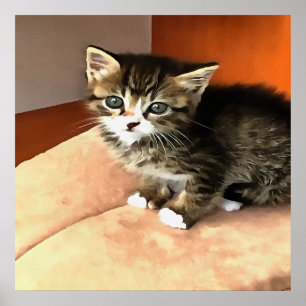 Póster Retrato de Mascota de gatitos de Tabby