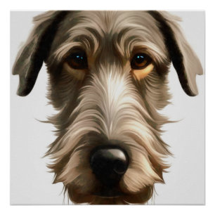 Póster Retrato de mascota de Irish Wolfhound pintado aisl