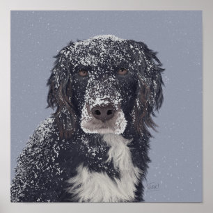 Póster retrato de mascota mezcla de perro spaniel