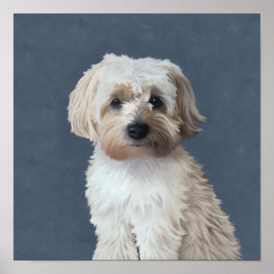 Póster retrato de mascota perro Shorkie