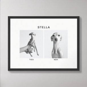 Póster Retrato de Mascota Personalizado Entonces y Ahor