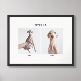 Póster Retrato de Mascota Personalizado | Entonces y Ahor