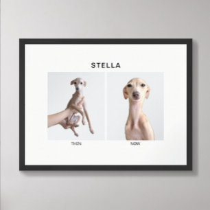 Póster Retrato de Mascota Personalizado Entonces y Ahor