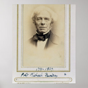 Póster Retrato de Michael Faraday (1791-1867) (albumen p