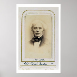 Póster Retrato de Michael Faraday (1791-1867) (albumen p