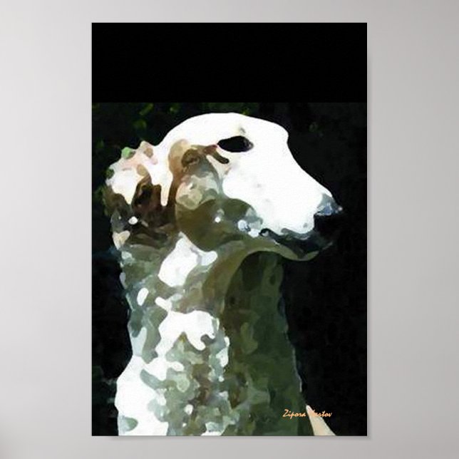 Póster Retrato de Molly (Frente)