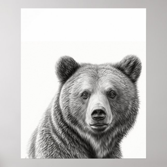 Póster Retrato de oso pardo blanco negro (Frente)