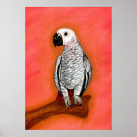 Retrato de pájaro de loro gris africano