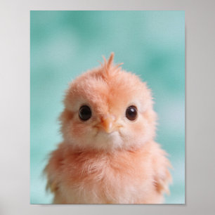 Póster Retrato de Pavito para Pared de Guardería