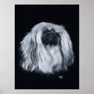 Póster Retrato de Pekín en Blanco y Negro