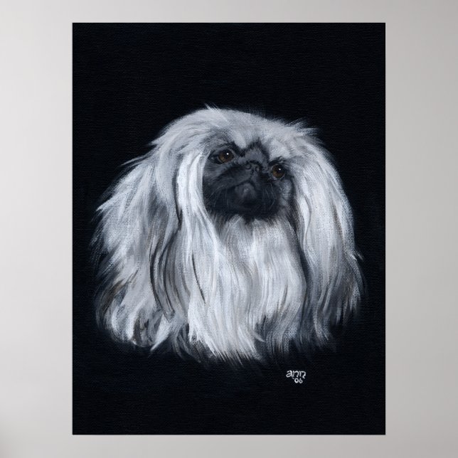 Póster Retrato de Pekín en Blanco y Negro (Frente)