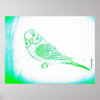 Póster Retrato de periquito verde