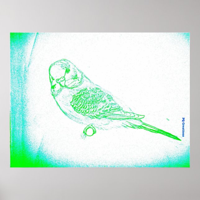 Póster Retrato de periquito verde (Frente)