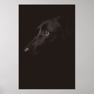 PÓSTER RETRATO DE PERRO