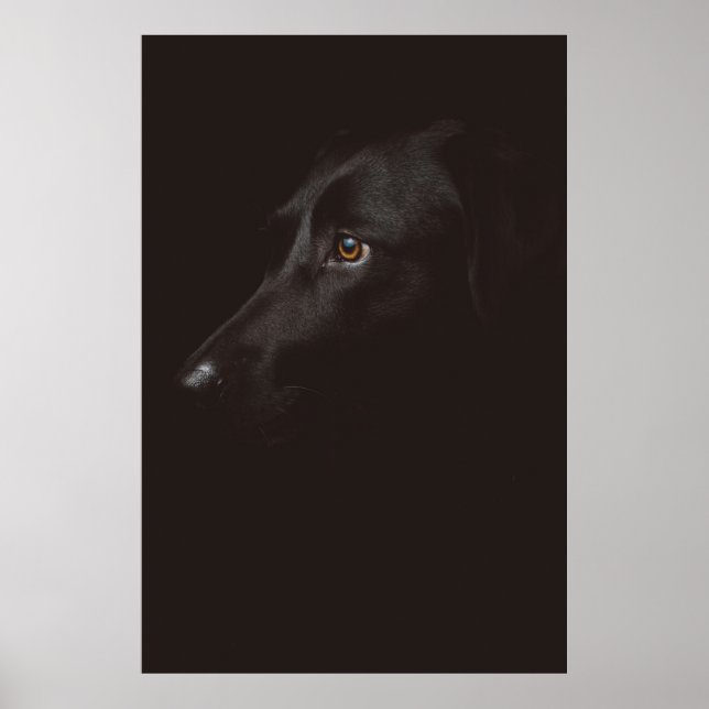 PÓSTER RETRATO DE PERRO (Frente)