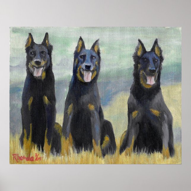Póster Retrato de perro de Beauceron (Frente)