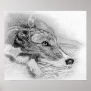 Póster Retrato de perro de Lurcher