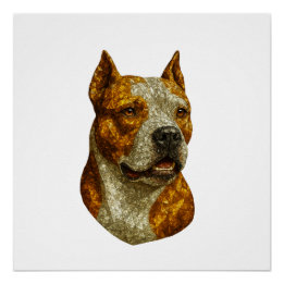 Póster Retrato de perro de Pitbull