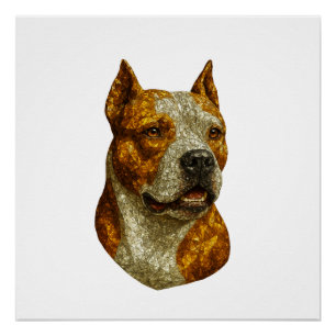 Póster Retrato de perro de Pitbull