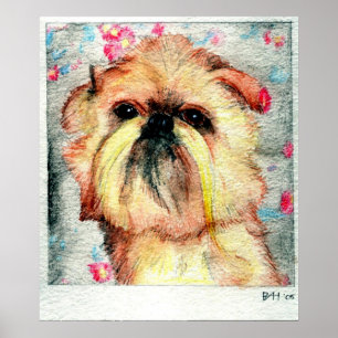 Póster Retrato de perro griffon de Bruselas