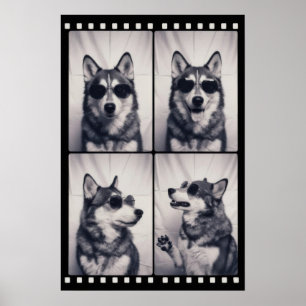 Póster Retrato de perro Husky