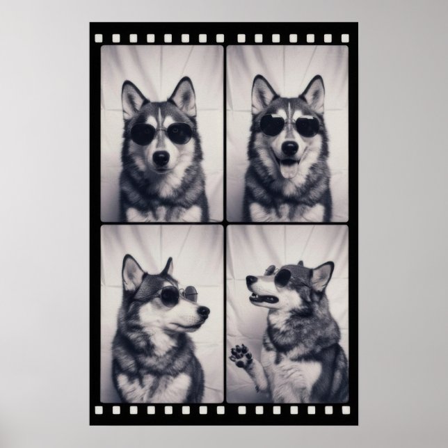 Póster Retrato de perro Husky (Frente)