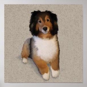 Póster retrato de perro mestizo Sheltie