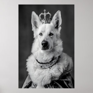 Póster Retrato de perro pastor alemán aristocrático, dive