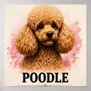 Póster Retrato de Perro Premium de Caniche Elegante
