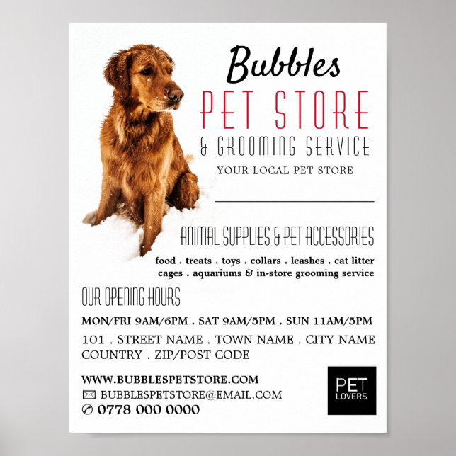 Póster Retrato de perro, tienda de Mascotas y publicidad  (Frente)