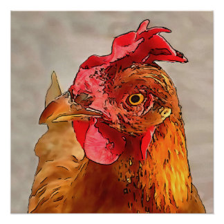 Póster Retrato de pollo de corral Arte de contorno negro
