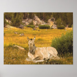 Póster Retrato de potro de caballo buckskin
