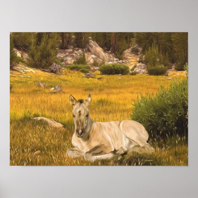 Póster Retrato de potro de caballo buckskin (Frente)